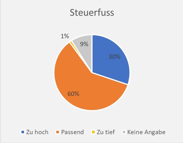 Steuerfuss