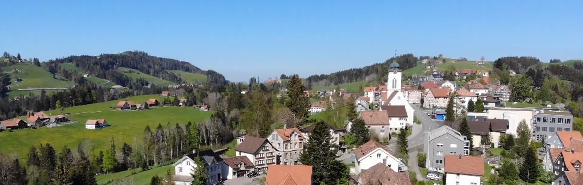 Wald 004